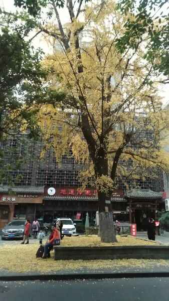 求大神好心人帮助,线下办理分期手机taoxian比