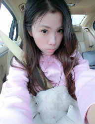 浦发以卡办卡网上查询:申请已通过,后续请留意