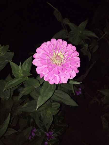 平安备用金我如果要了一笔刷出来可以吗?会不